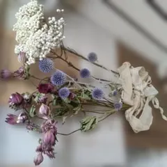 花材❄ドライフラワー
