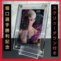 Item thumbnail for item a49a4bf0-f35b-4de3-82ed-14b8316b7fbd