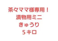茶々ママ様専用！漬物用ミニきゅうり５キロ