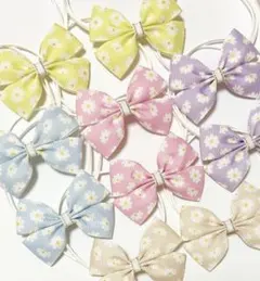 Item thumbnail for item 4f14e564-62af-470c-aba0-7c9f460bdf71