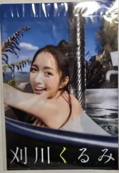 刈川くるみ　グランドジャンプ　特別付録特製クリアファイル