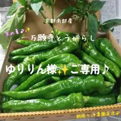 ❇️☘️『ゆりりん 様』ご専用です♪❇️☘️28日発送♪（予定）