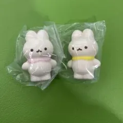 ピエニウニ スクイーズ