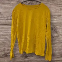 Item thumbnail for item 135dfa0c-483c-4196-a475-a063667ba199