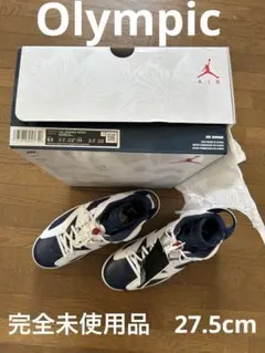 Air Jordan 6 Retro 9.5 olympic オリンピックモデル