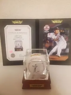 安樂智大選手　サイン入りボール 2025年最新】安楽智大の人気アイテム - メルカリ