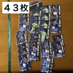 日本代表サッカー選手合計４３枚カードセット