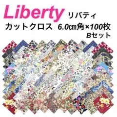 ❇ Liberty リバティ カットクロス6.0㎝角×100枚 Bセット