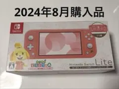 【美品】Nintendo Switch Lite どうぶつの森デザイン ケース付