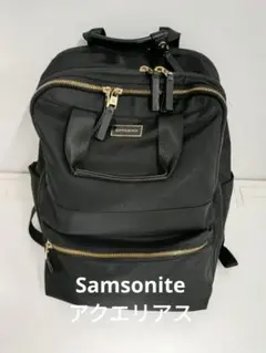 Samsonite サムソナイト アクエリアス バックパック