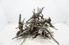 ADAブランチウッド3本　中古 ADAブランチウッド3本 中古 - メルカリ