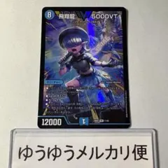 2026年最新】5000VT アセビの人気アイテム - メルカリ