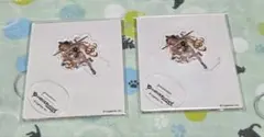 글러블 아크릴 스탠드 수영복 할레제나