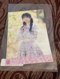 Item thumbnail for item 4d2ce824-3576-4a3c-b01d-2f5ad72c5e79