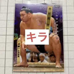 Item thumbnail for item 94a13a1c-3986-4618-b83a-b93e88c74039