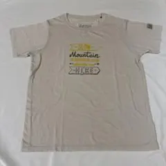 Marmot