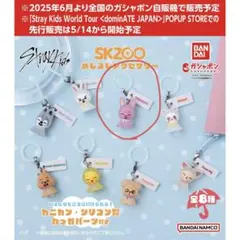 Stray Kids SKZOO めじるしアクセサリーDWAEKKI