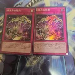 遊戯王OCG 暗黒界の懲罰 2枚セット