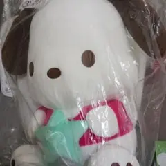 2025年サンリオキャラクター大賞当りくじ　ポチャッコ ぬいぐるみ