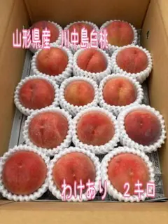 山形県産　桃　川中島白桃２キロ　わけあり【５】