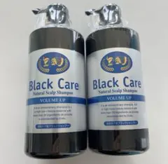 ヴェルセ ブラックケア ナチュラル スカルプシャンプーG 600ml 2個セット ブラックケアシャンプーKD | [公式]ナチュラルガーデン