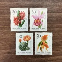 みかんちゃん(^-^)様 リクエスト 2点 まとめ商品