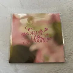 2026年最新】スタフォニ パンフの人気アイテム - メルカリ