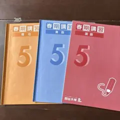 2026年最新】四谷大塚 予習シリーズ 4年の人気アイテム - メルカリ