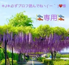 ＊J＊様専用❣️⭐️特別出品⭐️スワロ・ボール型ロンデル・マルチカラー+クリスタルAB