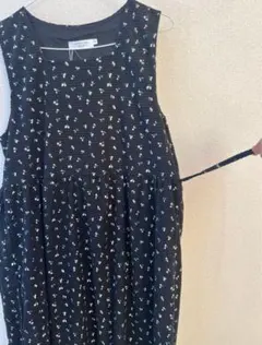 Item thumbnail for item f2307e84-d2c4-4235-ba0c-a72064ae1762