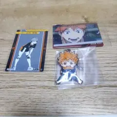 ハイキュー!! 日向翔陽グッズ