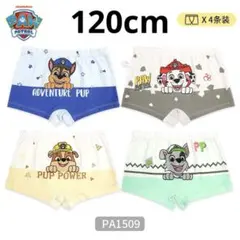 Item thumbnail for item 4b65980a-d121-4a0f-8202-c40b287dc3c8