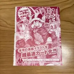 ワンピース 29周年 カード ルフィ 週刊少年ジャンプ 33号 未開封