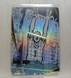 ハイキュー!! BREAKバボカ 最強の挑戦者 青根高伸 【頂P】