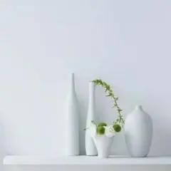 【 専用出品 】♥ リピーター様 ♥ ゴンチチ様専用