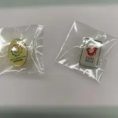 2026年最新】expo 2005 ピンバッジの人気アイテム - メルカリ
