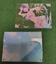 大空スバル 2022誕生日グッズ アクリルパネル