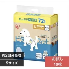 Item thumbnail for item ce833127-eeaa-4641-9edb-79bfcce6f8a2