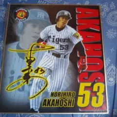 2026年最新】赤星 サインの人気アイテム - メルカリ