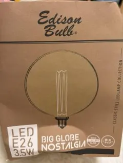 Edison Bulb BIG GLOBE NOSTALGIA LED電球