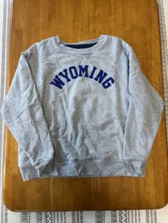 Champion WYOMING トレーナー XL
