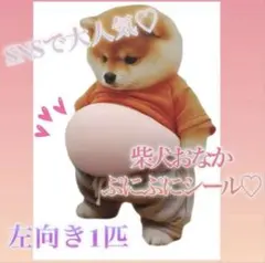 訳あり おなかぷにぷに ぷっくり シール 柴犬 立体 3Dステッカー いぬ 一匹