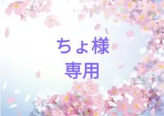 ちょ様 専用