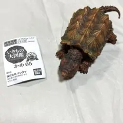 生き物大図鑑かめ　まとめ売り Amazon | いきもの大図鑑アドバンス カメ01 [全4種セット