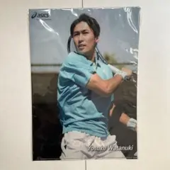 Item thumbnail for item 44316aa6-5a75-439c-9df2-c215459548da