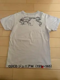 Item thumbnail for item c5c87d2c-ee71-46ee-aa60-ddd2223de8b5