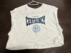 ライトグレー クロップドTシャツ Lサイズ 新品