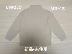 Item thumbnail for item 18a23de1-6182-47ee-9e41-42d07979427f