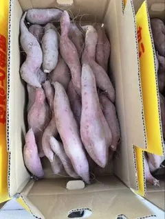 大人気大特価！5kg。B品訳あり、鳴門金時、M、L、2L、