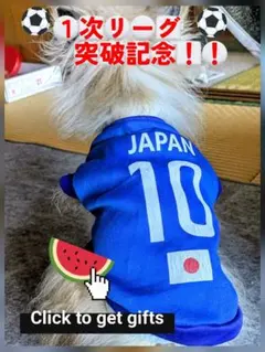79☆5800円⇒5300円継続⚽️W杯日本代表お疲れさまセール☆茨城産のすいかのサムネイル